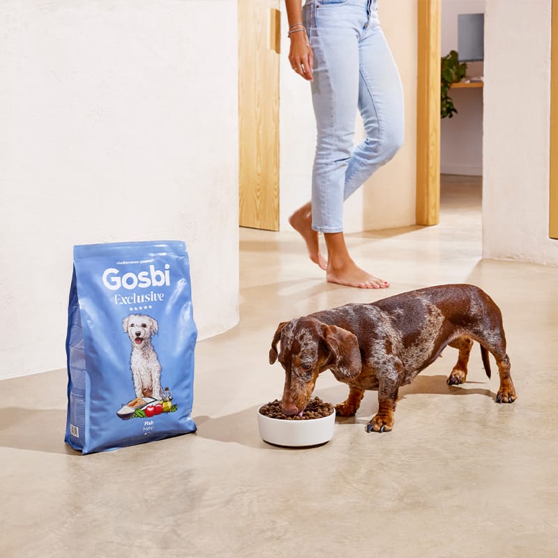 Exclusive Dog Adult Mini Fish
